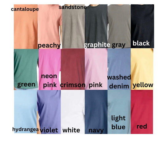 Baseball Life Embroidered Comfort Colors T-Shirt